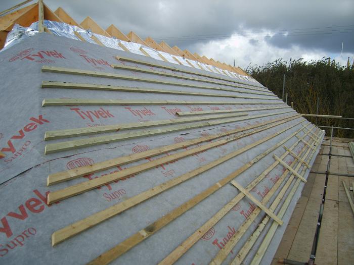 8 Roof Windows & Doors (7)